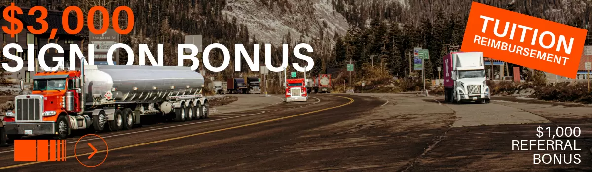 Vega Transport – Company Reviews