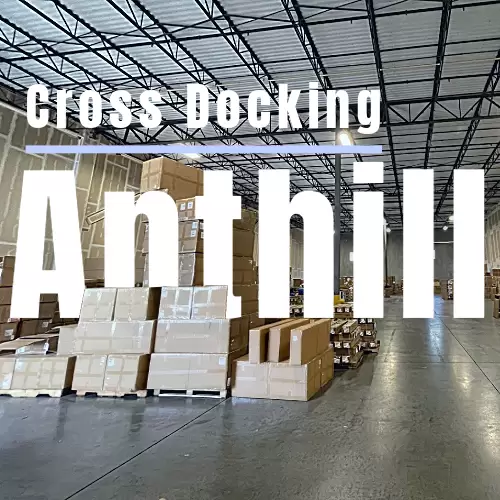 Anthill Cross Docking – Suwanee’s Trusted Hub for Final Mile Delivery & Trans Load Services