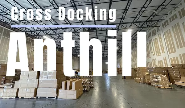 Anthill Cross Docking – Suwanee’s Trusted Hub for Final Mile Delivery & Trans Load Services