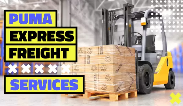 Puma Express – Full-Service Shipping & Logistics in Duluth, GA