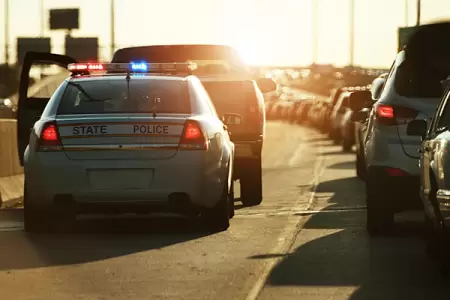 VIDEO: Tennessee trooper's traffic stop takes unexpected turn for Florida man