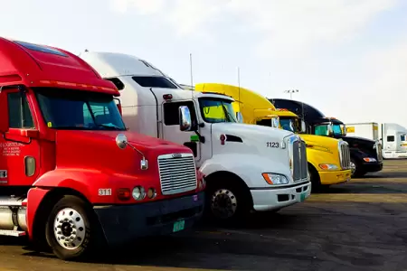 Sarasota truck driver brandishes baseball bat in near-fight over parking