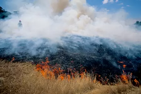 Abandoned Campsite and Unauthorized Burn Pile Cause Double Fires in Sweet Home, Oregon