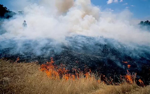 Abandoned Campsite and Unauthorized Burn Pile Cause Double Fires in Sweet Home, Oregon
