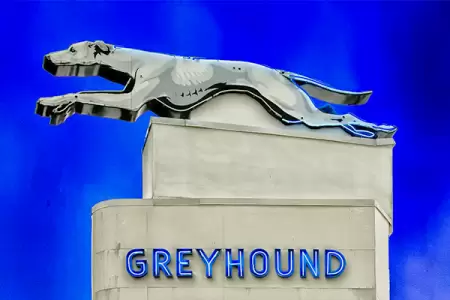 Bravery on the road: Truck driver risks own safety to rescue passengers from burning bus