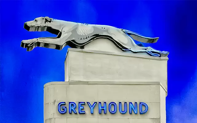 Bravery on the road: Truck driver risks own safety to rescue passengers from burning bus