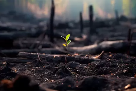 VIDEO: Highway closures and evacuation orders issued due to growing wildfire in Washington state