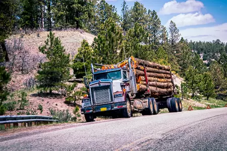 Logs spill onto road after truck accident in Gloucester