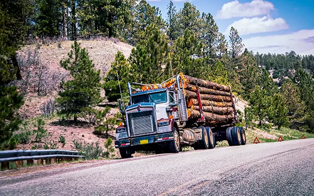 Logs spill onto road after truck accident in Gloucester