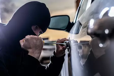 14 Detained and 11 Stolen Cars Found in Successful Law Enforcement Operation