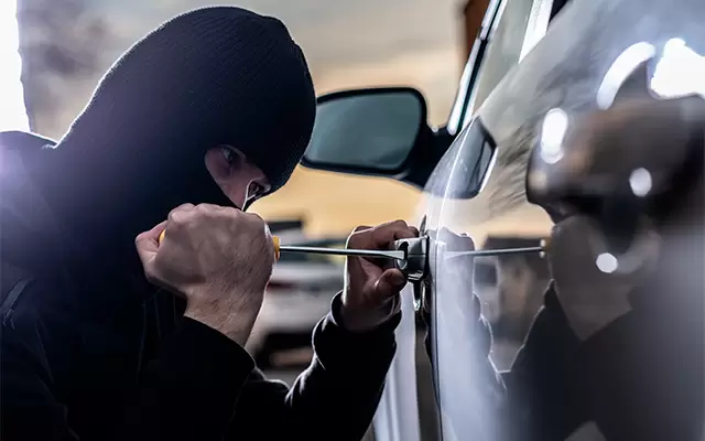 14 Detained and 11 Stolen Cars Found in Successful Law Enforcement Operation