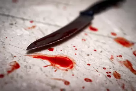 VIDEO: A Hillsboro man has pleaded guilty to a knife attack that injured 2 people in downtown Portland