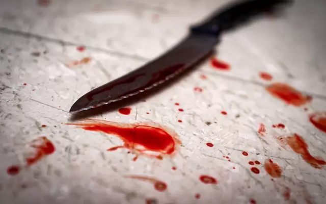 VIDEO: A Hillsboro man has pleaded guilty to a knife attack that injured 2 people in downtown Portland