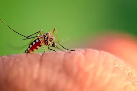 Human Cases of West Nile Virus Confirmed in Minnesota, Federal Health Officials Report