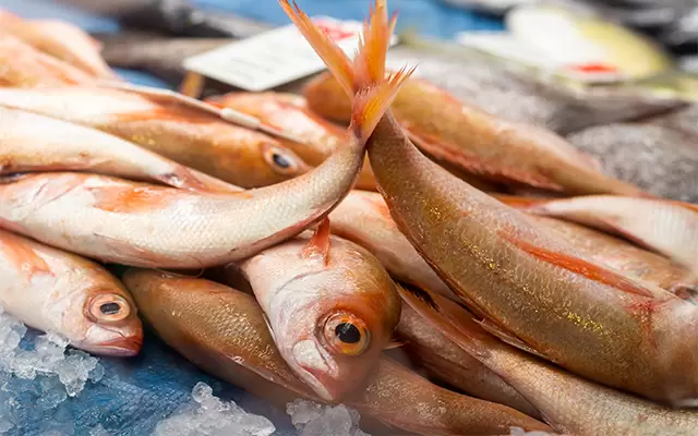 VIDEO: An overturned semi-truck caused fishy chaos on a Marysville road
