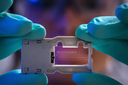 Criminal News - Week 27