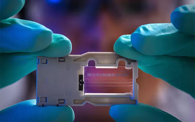 Criminal News - Week 27