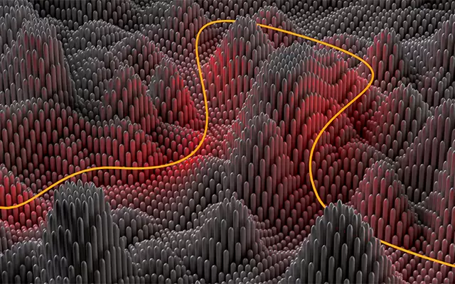 VIDEO: TOP Economic News - Week 31